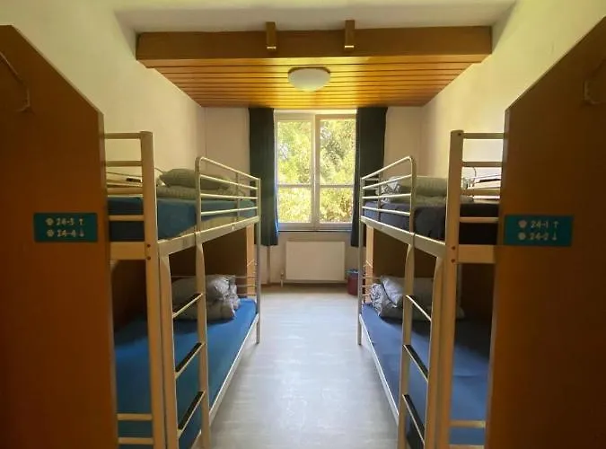 Muffin Hostel